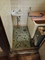 P4160053 P4160053-e1664266728800